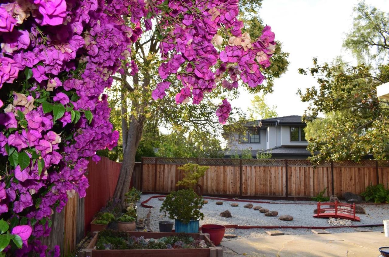 Palo Alto Quiet 1 Bedroom Stanford University Zewnętrze zdjęcie