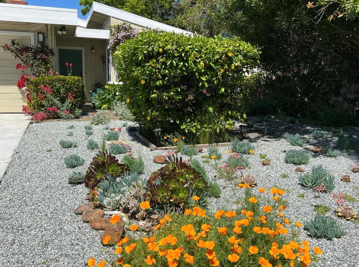 Palo Alto Quiet 1 Bedroom Stanford University Zewnętrze zdjęcie